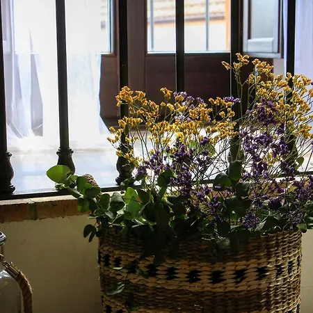Cortijo Rural Alcornocosas Дом отдыха Кордова
